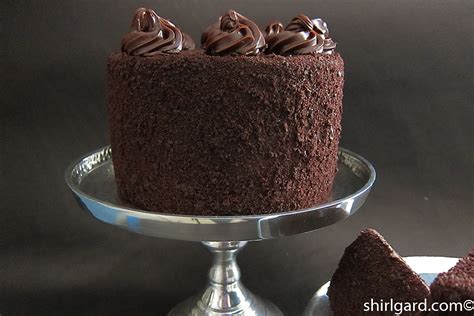 shirls-brooklyn-blackout-cake-shirlgard image
