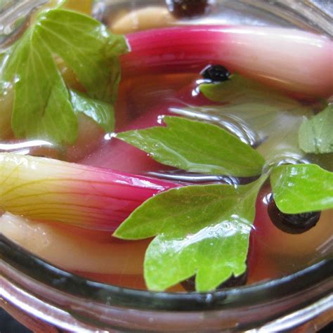 best-pickled-spring-onions-recipe-how-to-make image