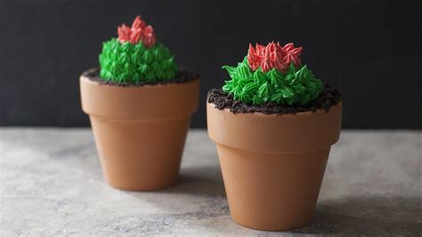 cactus-cupcakes-in-terra-cotta-pots-look-like-the-real-thing image