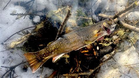 how-to-catch-and-eat-the-delectable-brook-trout image