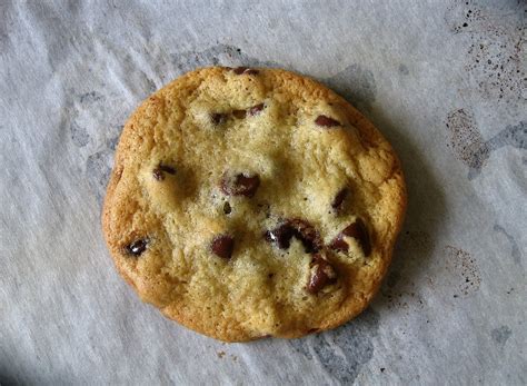 10-best-chocolate-chip-cookies-with-no-flour image