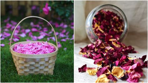10-brilliant-uses-for-rose-petals-7-ways-to-eat image