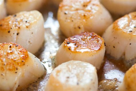 how-to-cook-scallops-on-the-stovetop-easy-5-minute image