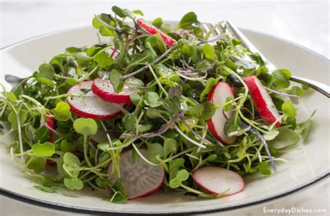 microgreens-salad-recipe-with-lime-vinaigrette image