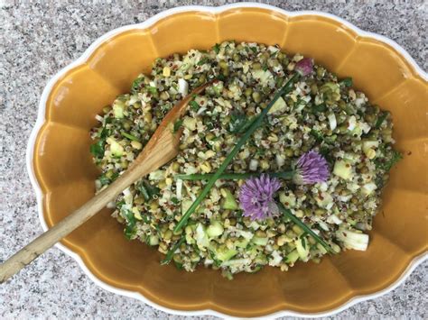 mung-bean-quinoa-salad-a-natural-chef image