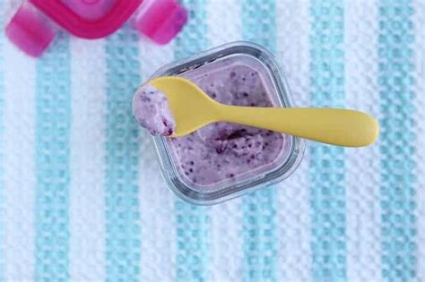 quick-blueberry-chia-seed-jam-yummy-toddler-food image