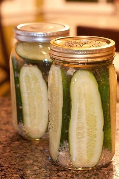 refrigerator-kosher-dill-pickles-claussen-copycat image