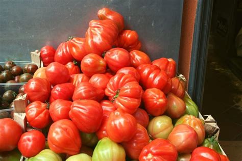 italian-tomatoes-grandmas-tomato-sauce-and-more image