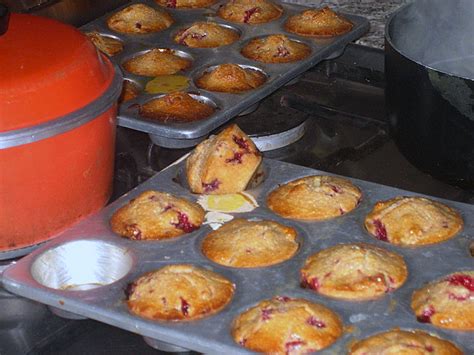raspberry-yogurt-muffins-recipe-food-republic image