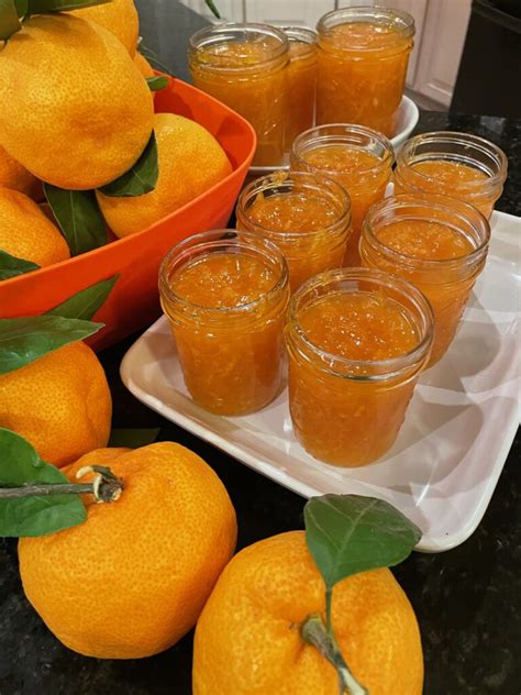 satsuma-mandarin-orange-marmalade-hot-sweet-spicy image