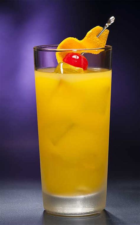 how-to-make-a-harvey-wallbanger-cocktail-crafty image