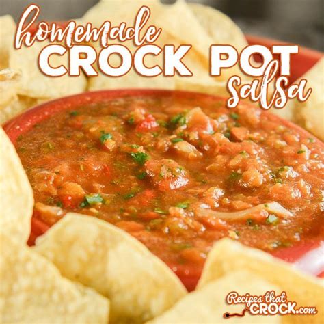 homemade-crock-pot-salsa-recipes-that-crock image