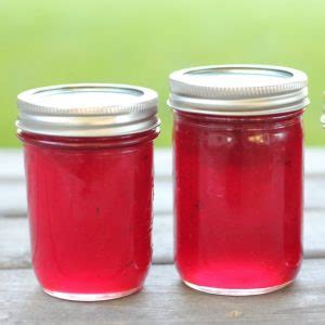 10-easy-homemade-jelly-recipes-creative-homemaking image