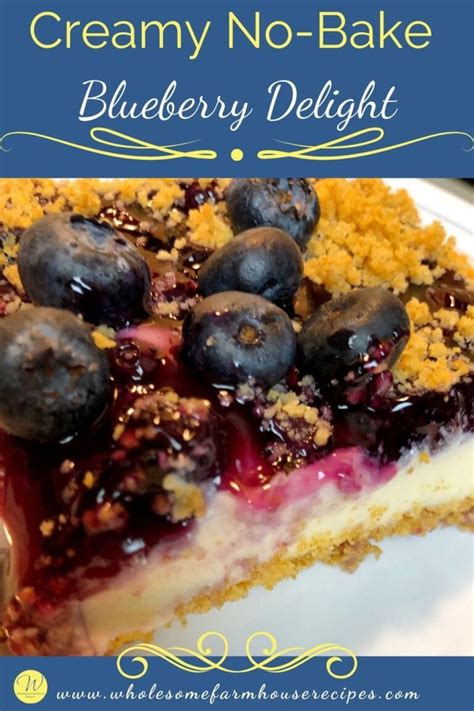 creamy-no-bake-blueberry-delight-wholesome image