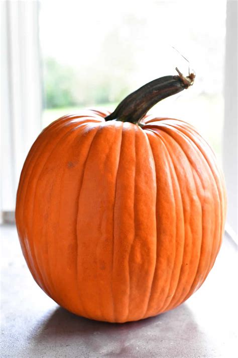 garlic-roasted-pumpkin-seeds-the-gunny-sack image