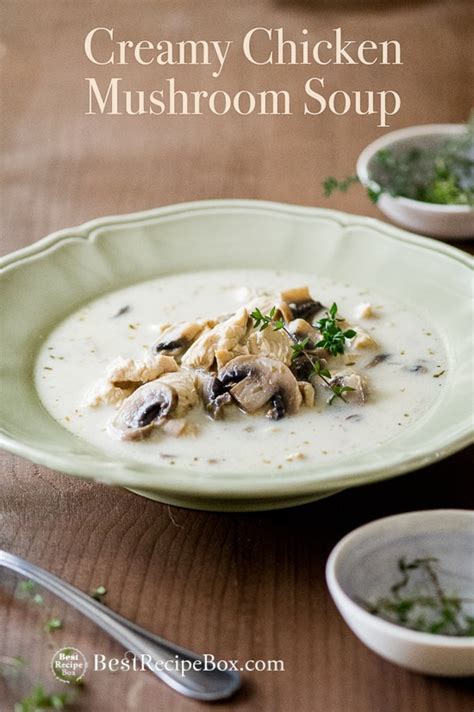 creamy-chicken-mushroom-soup-recipe-easy-quick image