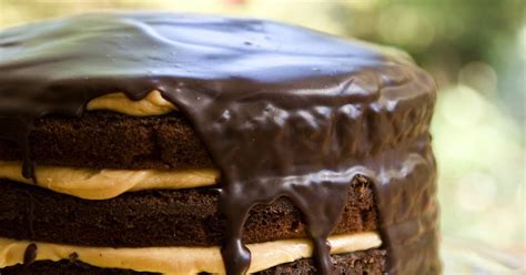 10-best-peanut-butter-cake-filling-recipes-yummly image