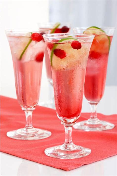 cranberry-lime-spritzer-recipe-katie-lee-cocktail image