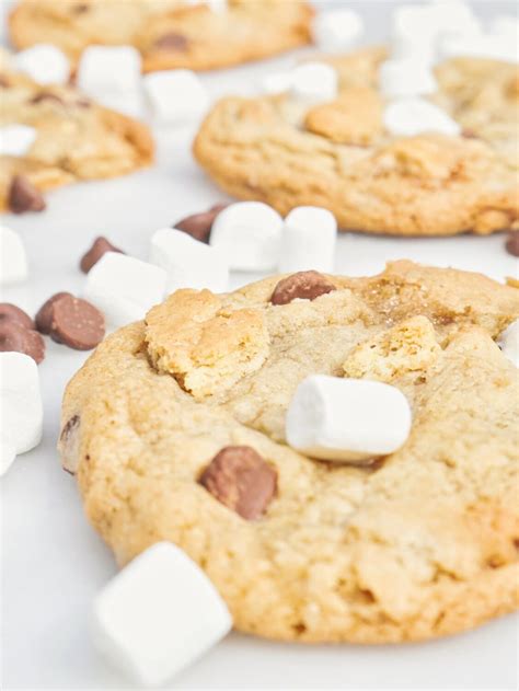 17-best-cookies-with-marshmallows-recipes-into-the image