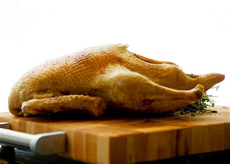 foolproof-method-for-cooking-a-roasted-whole-duck image