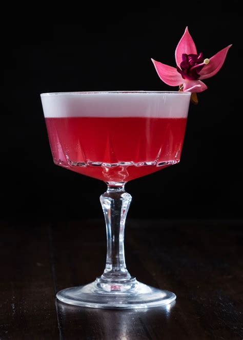 8-of-the-best-hibiscus-cocktails-vinepair image