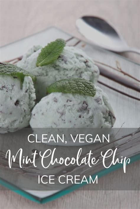 dairy-free-mint-chocolate-chip-ice-cream image