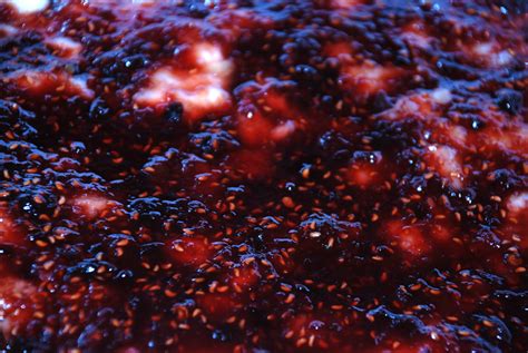 raspberry-chipotle-bean-dip-tasty-kitchen image