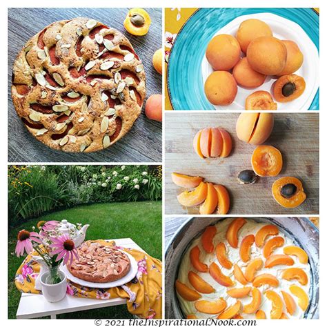 my-apricot-torte-or-apricot-and-almond-cake-the image