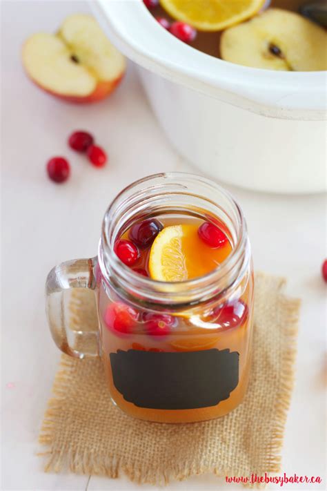 slow-cooker-apple-cranberry-cider-the-busy-baker image