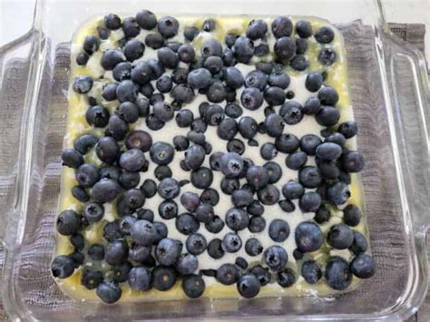 bisquick-blueberry-cobbler-recipe-tammilee-tips image