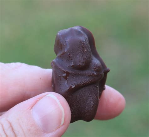 chocolate-covered-gummy-bears-recipe-simply image