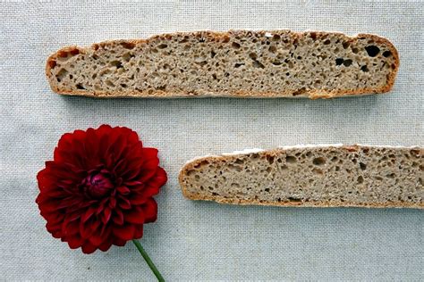 pain-de-campagne-recipe-sourdough-the-bread-she image