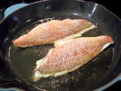 oven-baked-or-pan-fried-red-snapper-fish image