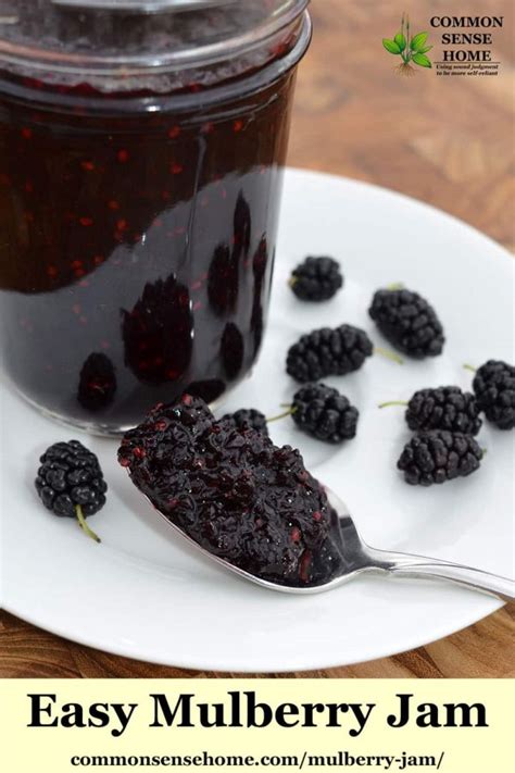 mulberry-jam-recipe-step-by-step-with-photos-use image