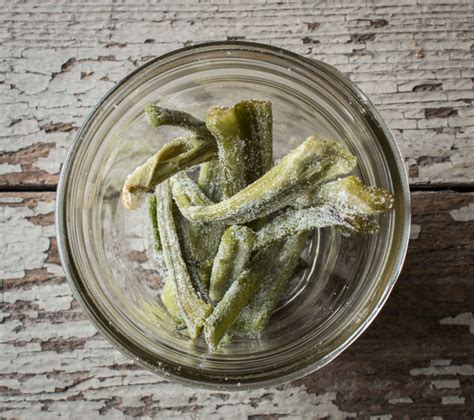 candied-angelica-stems-recipe-forager-chef image