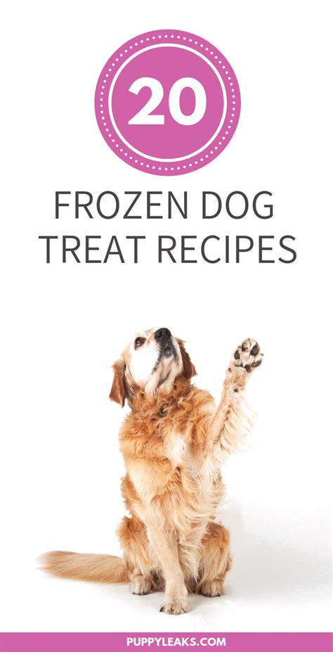20-frozen-dog-treat-recipes-puppy-leaks image