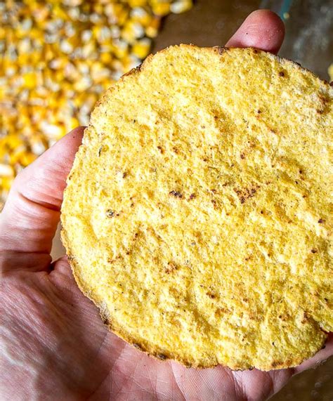 corn-tortillas-using-homemade-masa-dough image