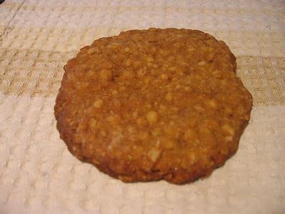 tramping-tararua-biscuits-blogger image