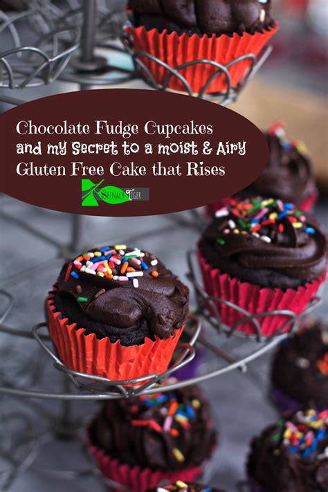 gluten-free-chocolate-fudge-cupcakes-spinach-tiger image