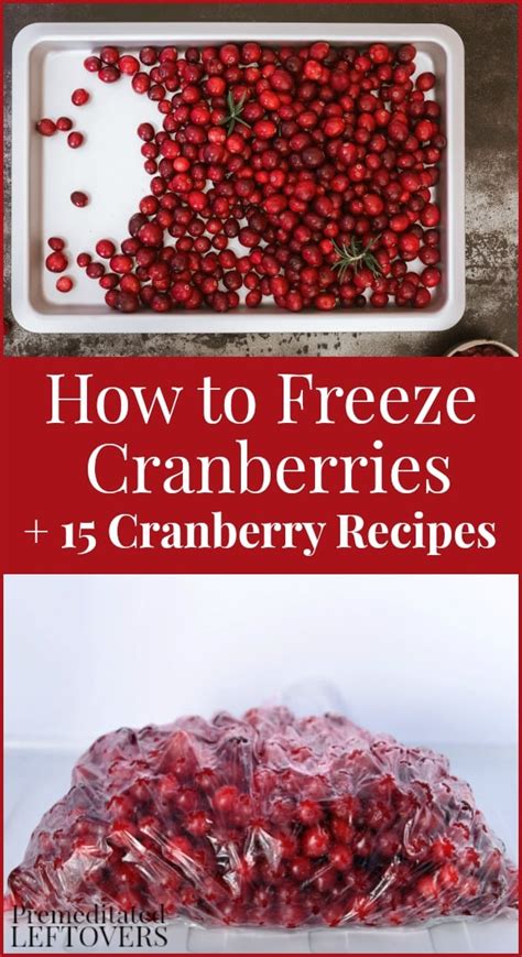 15-cranberry-recipes-how-to-freeze-cranberries image