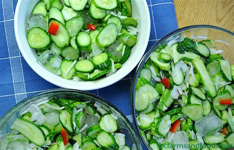 bread-and-butter-pickles-bc-farms-food image