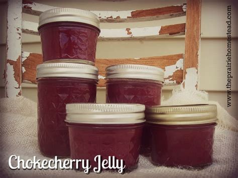 chokecherry-jelly-recipe-with-low-sugarhoney image