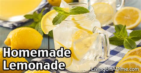 homemade-lemonade-recipe-quick-easy-and image