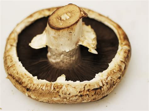 spinach-and-artichoke-stuffed-portobello-mushrooms image