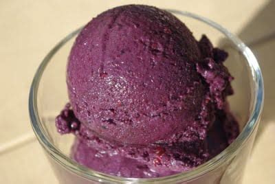 blackberry-sorbet-recipe-happiness-is-homemade image