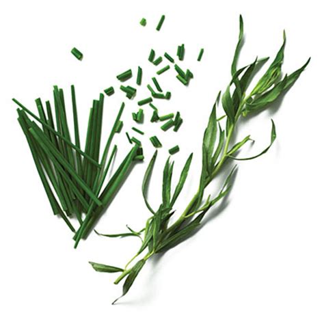 french-herb-seasoning-rub-recipe-myrecipes image