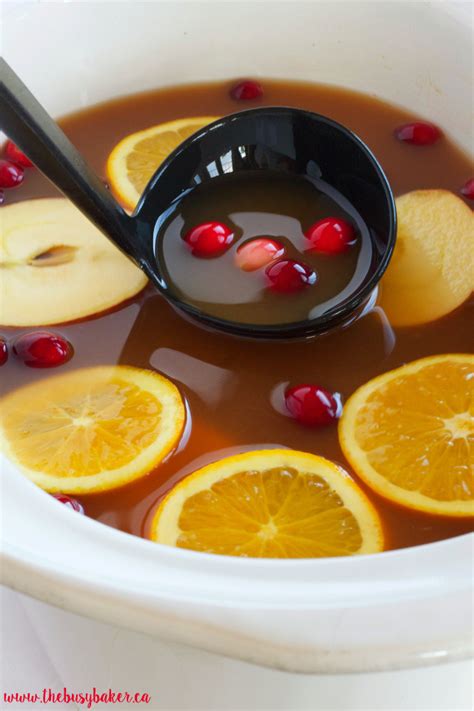 slow-cooker-apple-cranberry-cider-the-busy-baker image