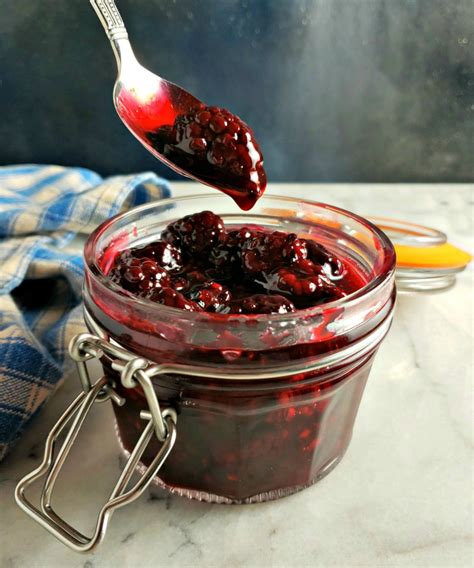 easy-fresh-blackberry-sauce-frugal-hausfrau image
