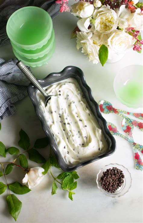 mint-chocolate-chip-frozen-yogurt-east-of-eden image