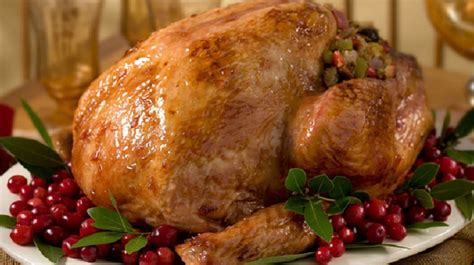 roast-turkey-with-cranberry-orange-glaze-recipesnow image